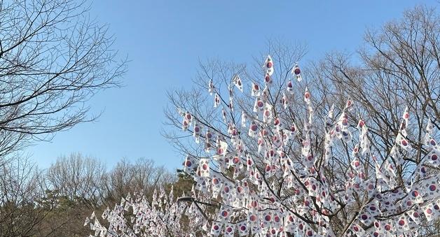 집 대신 SNS에 거는 태극기…달라진 삼일절 풍경