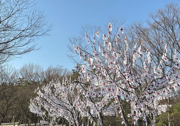 집 대신 SNS에 거는 태극기…달라진 삼일절 풍경
