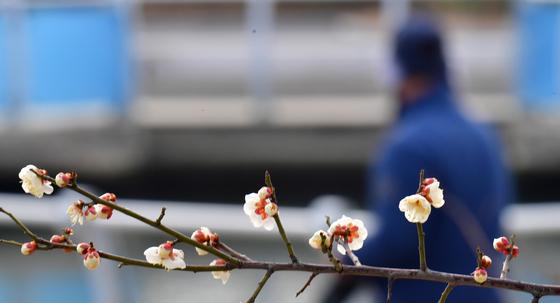 월요일 낮 강추위 꺾인다…서울 한파주의보 3일 만에 해제