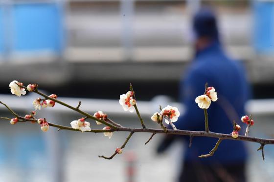 월요일 낮 강추위 꺾인다…서울 한파주의보 3일 만에 해제