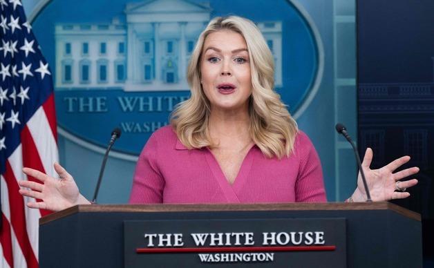 백악관 대변인 "韓관세 25% 인상 시점, 내겐 일정 없어"