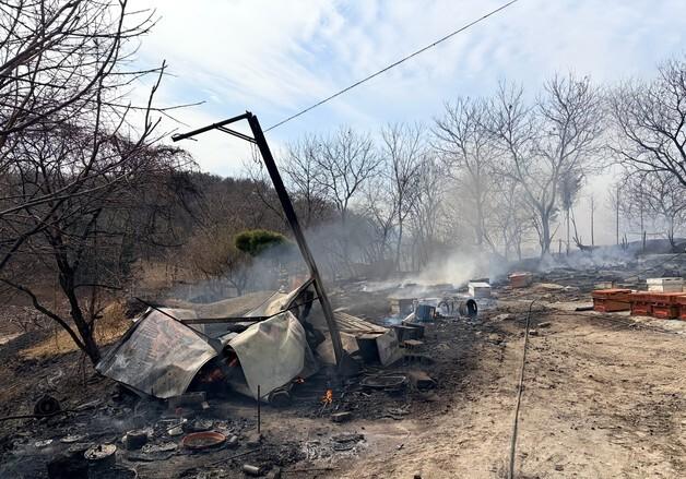 대전 읍내동 야산서 불…70대 남성 숨져