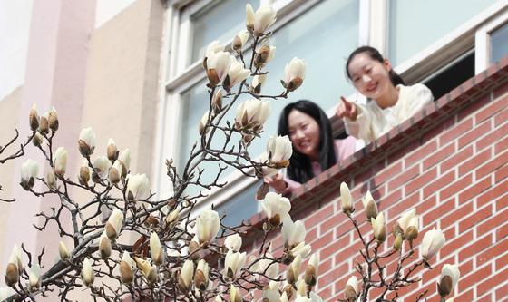 '톡톡' 터지는 봄