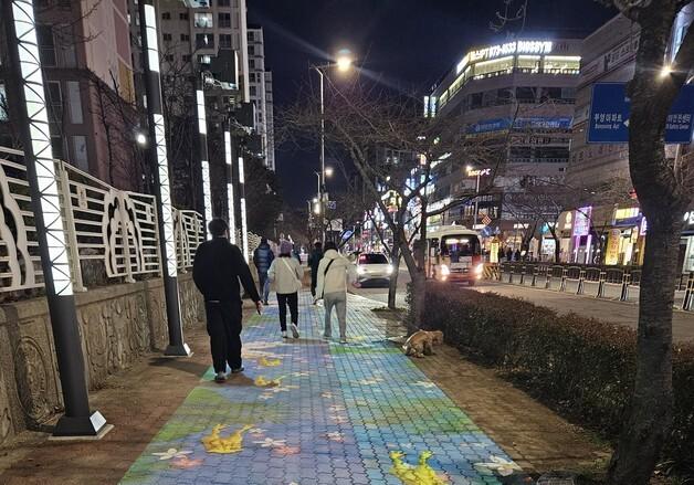 어둡던 신호동 중심상가 밝아졌다…경관조명 12일 '첫 불'