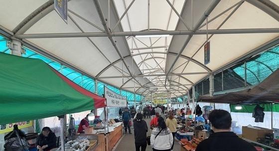 맑고 포근한 봄 날씨…전국 관광지·공원 나들이객 발길