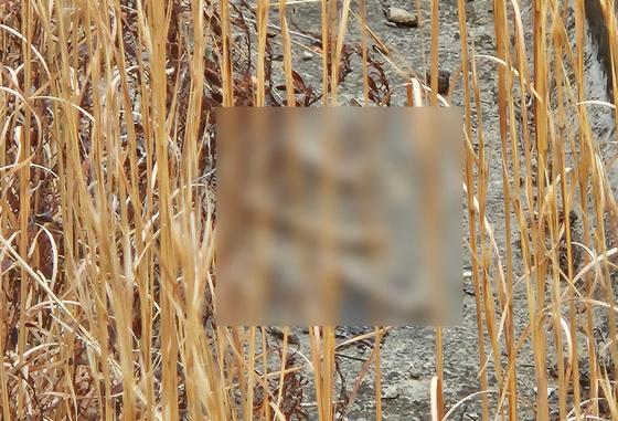 여객기 참사 유가족 "공항 담벼락 외곽 유해 추정 다수 발견"