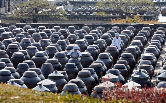 [뉴스1 PICK] '봄봄봄 봄이 왔네요'…춘분 앞둔 봄 풍경