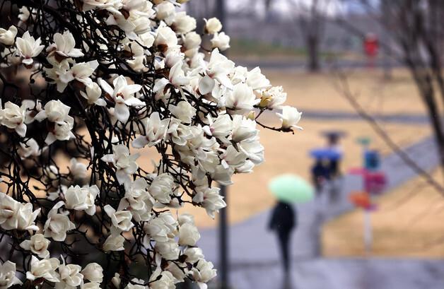 전국 흐리고 비…제주·남해안 강풍 주의[오늘날씨]