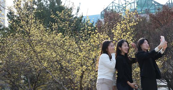 봄봄봄 '지금이야'