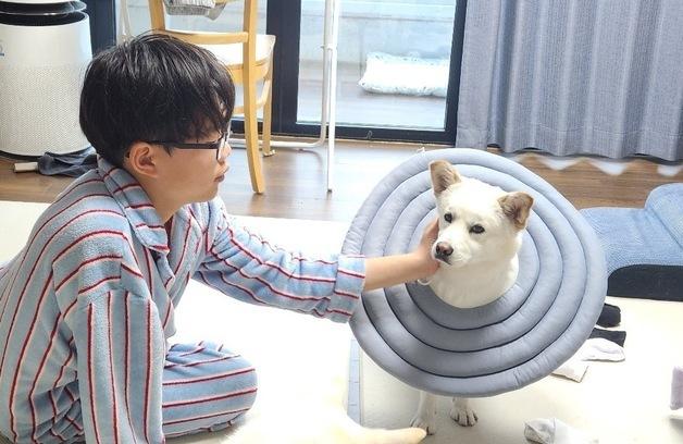 "사납다고 다시 생각해 보라던 개"…집에 오자 드러난 진짜 모습