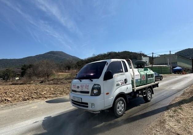 고령 야생 멧돼지서 '아프리카돼지열병' 확인…긴급 방역·포획작업 중