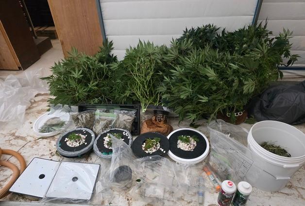 청년농업 정부 지원 받고는…스마트팜서 대마 4㎏ 기른 40대