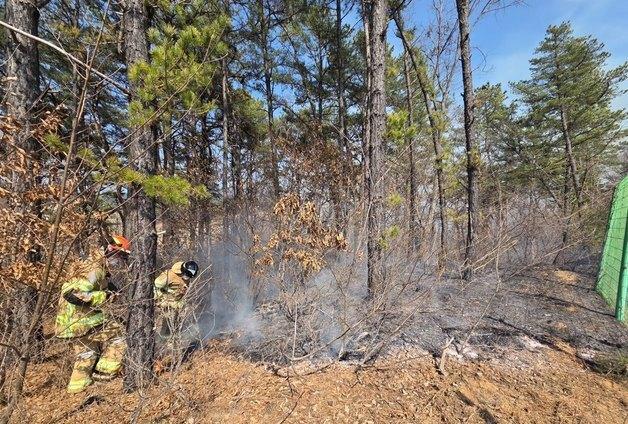'태양광 설비에서 발화?'…여주 강천면 야산서 불, 임야 1500㎡ 소실