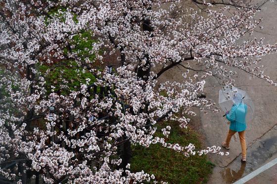 [오늘의 날씨]대구·경북(2일,목)…큰 일교차, 낮 최고 15~20도