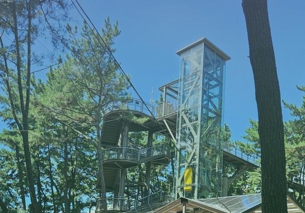 서천 장항스카이워크 운영시간 1일부터 오후 1시간 연장