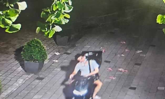 민망한 '셔츠룸' 전단지…강남서 걸린 일당, 부천·일산 뿌리다 검거