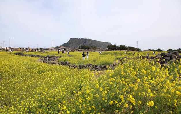 [오늘의 날씨] 제주(2일, 목)…10도 안팎 큰 일교차 주의