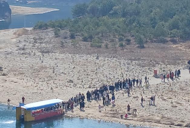 "장항준+미식제+반값여행"…'왕사남' 품은 영월 훈풍 계속되나