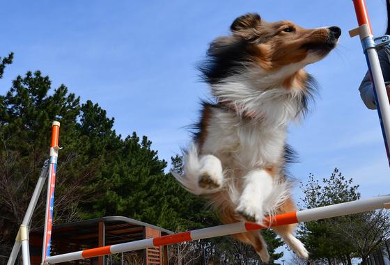 [오늘의 날씨]대구·경북(9일, 월)…아침 영하권, 낮 8도 안팎