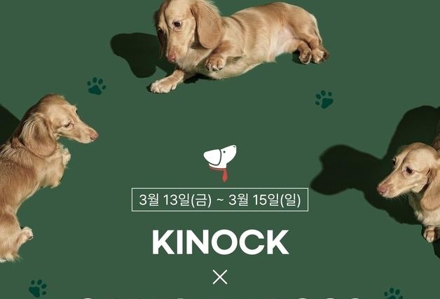 반려견 인생샷 남길까…교원 키녹, 투숙객 대상 프로필 촬영해준다 