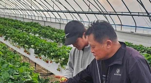 비닐하우스 난방비 폭등…유가 급등에 시름 깊어진 시설농가