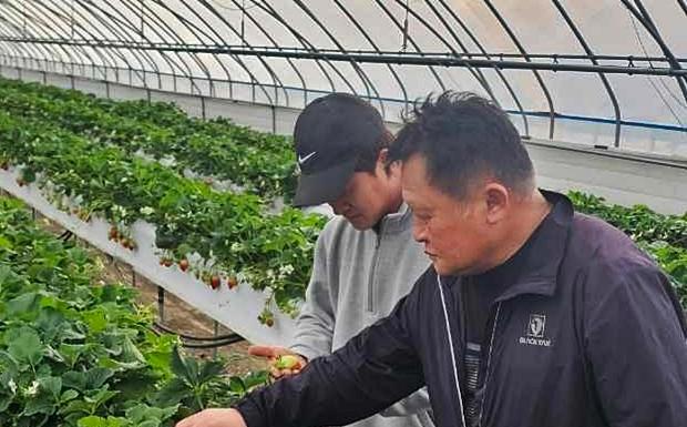 비닐하우스 난방비 폭등…유가 급등에 시름 깊어진 시설농가