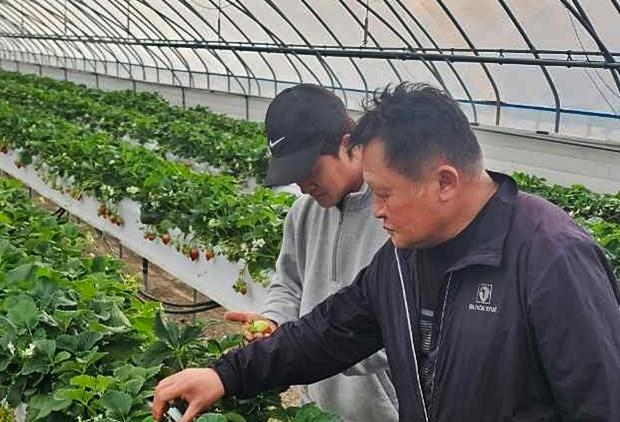 비닐하우스 난방비 폭등…유가 급등에 시름 깊어진 시설농가