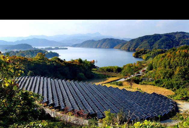 장수·유대의 상징 '인삼문화', 유네스코 인류무형유산 등재 도전