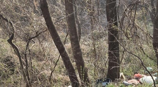 종량제봉투 파장 탓?…옥천군 곳곳 몰래 버린 쓰레기 몸살