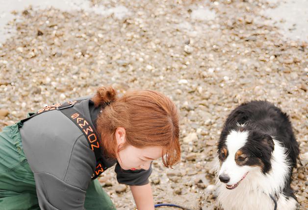 태안 안면도 갯벌서 4~6월 반려견과 산책 특화 프로그램