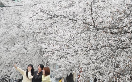 전국 낮 최고 21도 '완연한 봄'…일교차 최대 15도[오늘날씨]