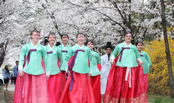 '한국의 봄을 만끽하다'
