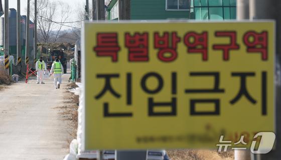 익산 함열 산란계 농장서 고병원성 AI 확진…14만 마리 살처분