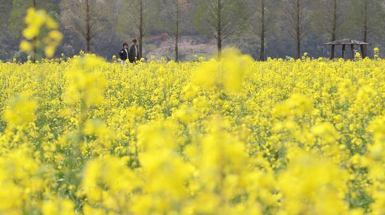 [오늘의 날씨]대구·경북(12일, 일)…큰 일교차, 낮 최고 17~24도