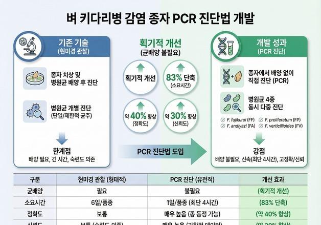 국립종자원, 벼 키다리병 감염 종자 신속 진단법 개발…특허 출원