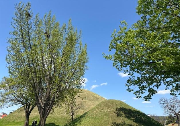 [오늘의 날씨] 경기(12일, 일)…아침 쌀쌀, 한낮 따뜻