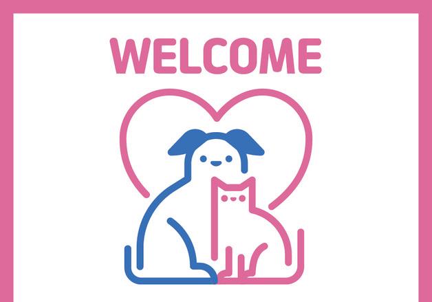 진주시, 반려동물 동반 음식점에 위생·안전 시설비 최대 50만 원 지원