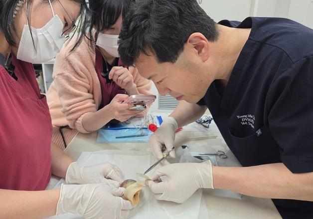 달팽이 진료에 의료진도 '깜짝'…최영민 원장 합류로 달라진 병원