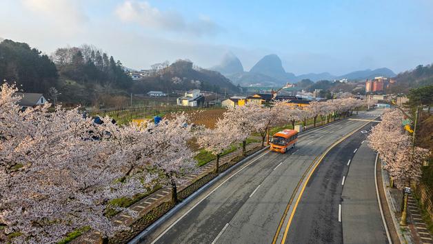 [오늘의 날씨] 전북(15일, 수)…낮 최고 22~25도, 일교차 커