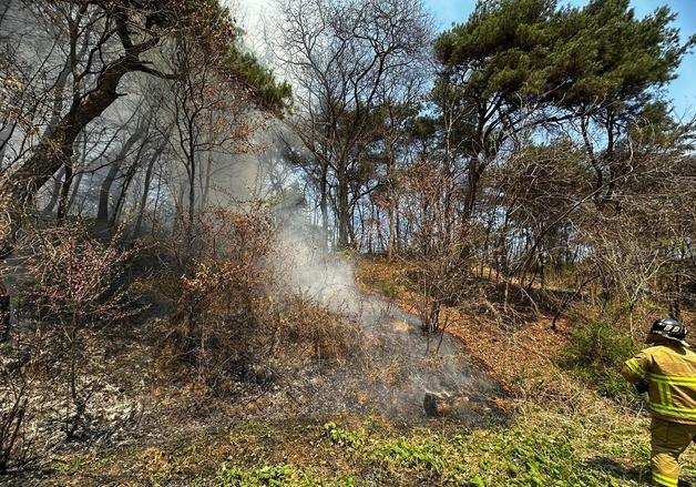 경북 영주 야산 인근 밭에 불…600㎡ 태우고 1시간 만에 진화