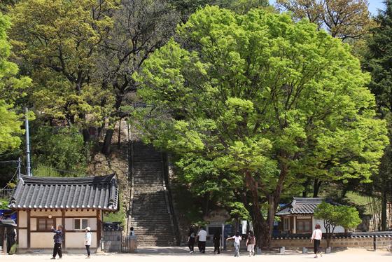 [오늘의 날씨] 부산·경남(14일, 화)…대체로 흐림, 낮 최고 22도