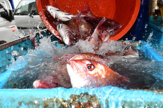 [오늘의 날씨]대구·경북(15일,수)…일교차 15도 안팎, 낮 16~26도