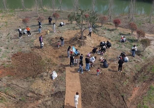 '숲속의 전남', 해남 산이정원에 탄소흡수숲 2026그루 식재