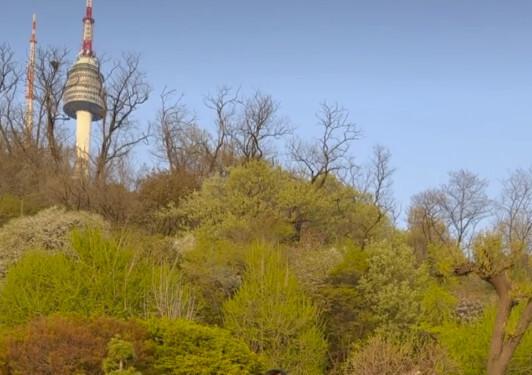 '이수와 이혼' 린, 생각 많아 보이는 얼굴 "한시간 반 걸어 카페 와"