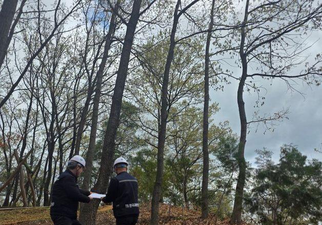 가덕도신공항 접근철도 안전진단 착수…2027년까지 설계 점검