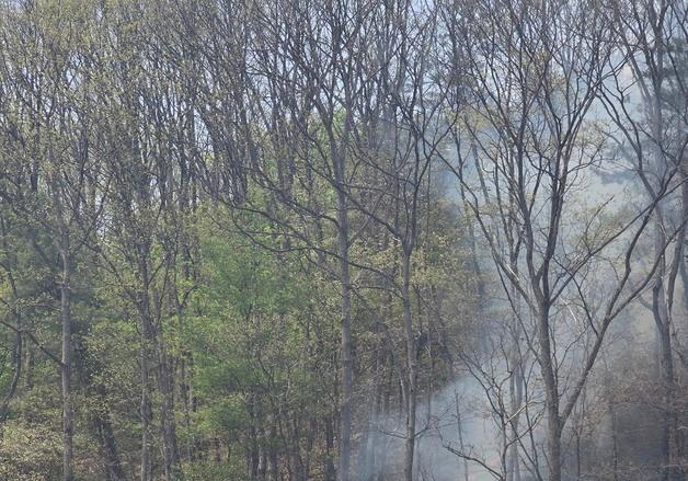 경기 광주 퇴촌면 야산서 불…40여분 만에 진화