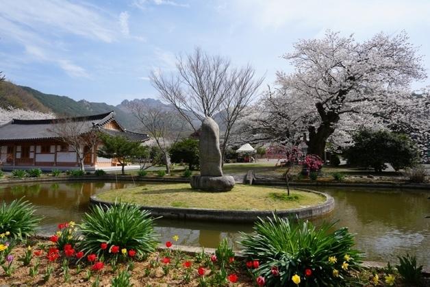 천년고찰 고흥 능가사 활용, 명상·치유 프로그램 운영