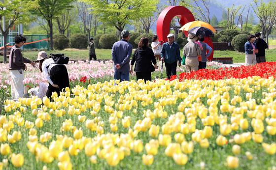[오늘의 날씨] 울산(19일, 일)…구름 많고 낮 최고기온 20도