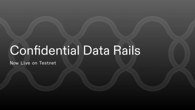 IP 블록체인 프로젝트 스토리, 데이터 인프라 'CDR' 테스트넷 공개 