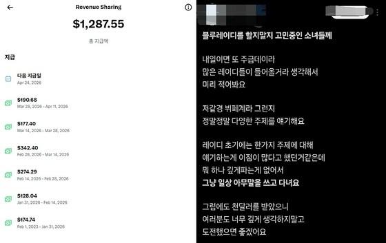"X로 돈 벌어요" 블루레이디 열풍…부업 뛰어드는 2030 여성들
